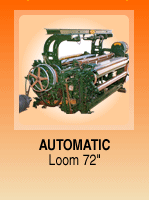 Automatic Loom